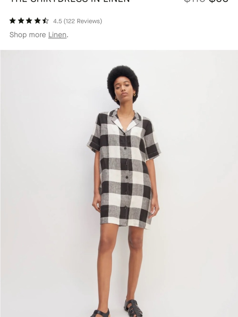 Everlane Black & White Check Button-Front Dress